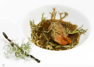 foi de lotte LICHEN, SOUPE POISSONS DE ROCHE