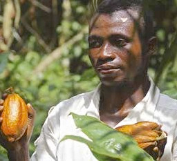 cacao Ã  Irebou